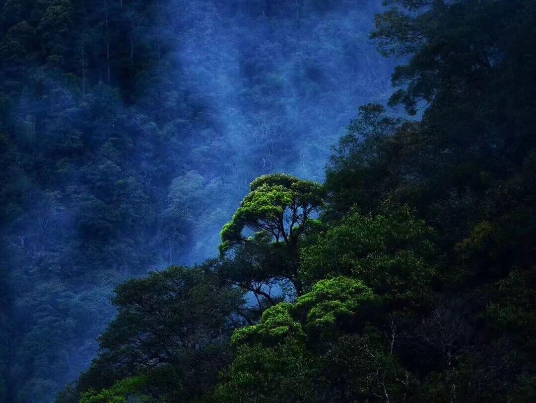 回购增持潮！超百家A股公司出手